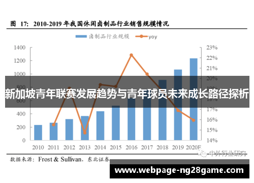 新加坡青年联赛发展趋势与青年球员未来成长路径探析