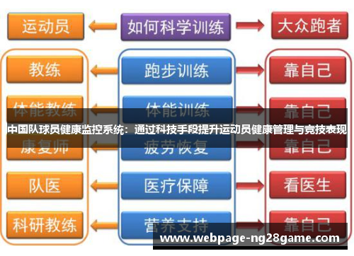 中国队球员健康监控系统：通过科技手段提升运动员健康管理与竞技表现