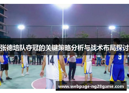 张德培队夺冠的关键策略分析与战术布局探讨