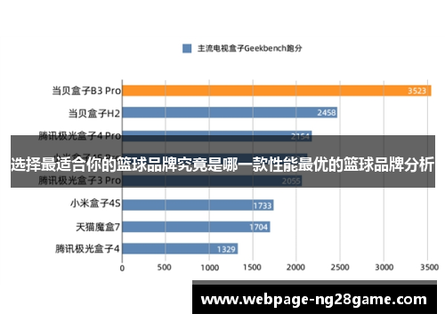 选择最适合你的篮球品牌究竟是哪一款性能最优的篮球品牌分析