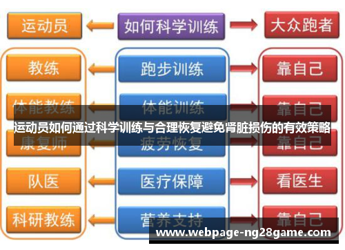 运动员如何通过科学训练与合理恢复避免肾脏损伤的有效策略 运动员如何通过科学训练与合理恢复避免肾脏损伤的有效策略