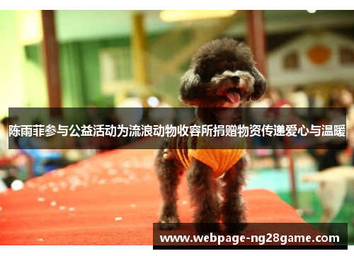 陈雨菲参与公益活动为流浪动物收容所捐赠物资传递爱心与温暖